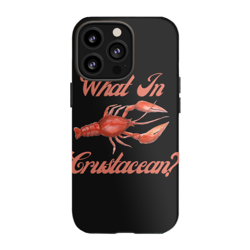 What In Crustacean  Cute Crustaceancore Iphone 13 Pro Case | Artistshot