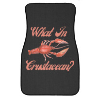 What In Crustacean  Cute Crustaceancore Front Car Mat | Artistshot