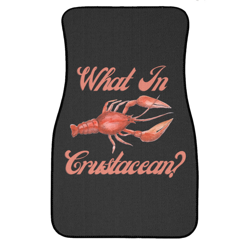 What In Crustacean  Cute Crustaceancore Front Car Mat | Artistshot