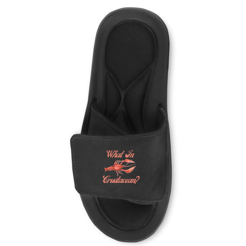 What In Crustacean  Cute Crustaceancore Slide Sandal | Artistshot