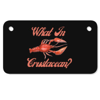 What In Crustacean  Cute Crustaceancore Motorcycle License Plate | Artistshot