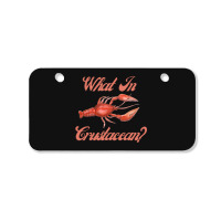 What In Crustacean  Cute Crustaceancore Bicycle License Plate | Artistshot