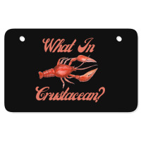 What In Crustacean  Cute Crustaceancore Atv License Plate | Artistshot