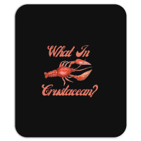 What In Crustacean  Cute Crustaceancore Mousepad | Artistshot