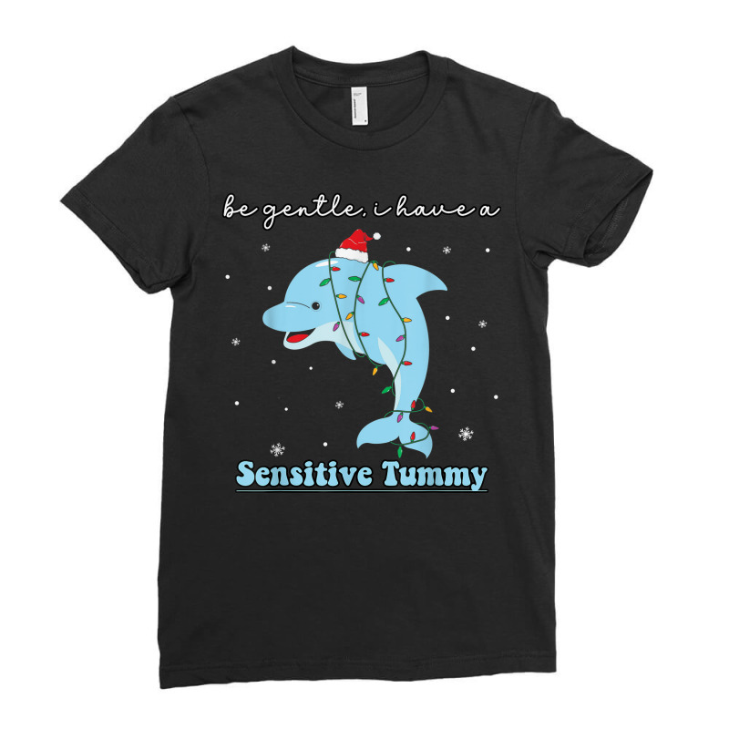 Be Gentle I Have A Sensitive Tummy Funny Christmas Ladies Fitted T-Shirt by Fashzilla | Artistshot