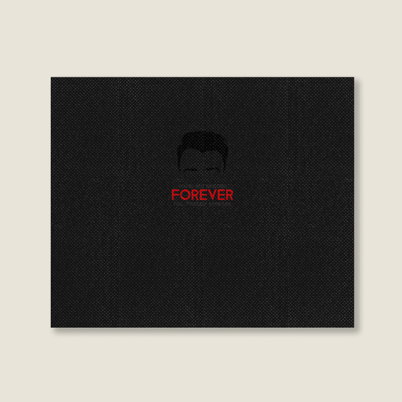 Courteeners - You're Not 19 Forever Landscape Canvas Print | Artistshot