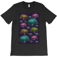 Rain Frog Wallpaper Premium Scoop T-shirt | Artistshot