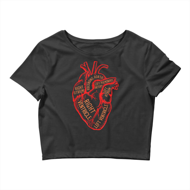 Anatomical Heart Medical Hospital Personal Cardiologist Crop Top by JuniorFrye | Artistshot