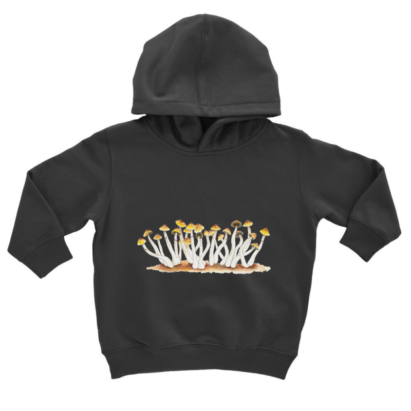 Psilocybe Cubensis Magic Mushrooms Mycology Shrooms Fungi Pullover Hoo Toddler Hoodie by cm-arts | Artistshot