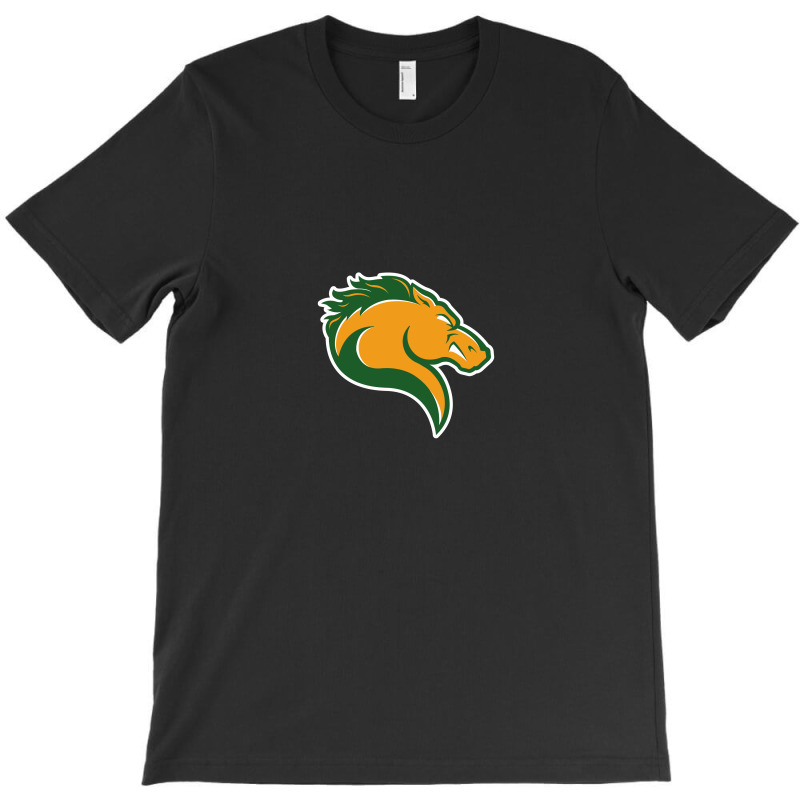 Marywood Merch, Pacers T-shirt | Artistshot