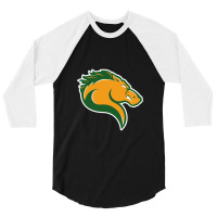 Marywood Merch, Pacers 3/4 Sleeve Shirt | Artistshot