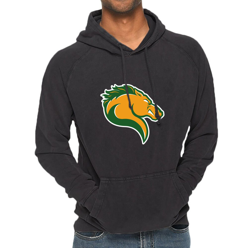 Marywood Merch, Pacers Vintage Hoodie | Artistshot