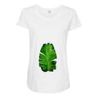 Banana Leaf Painting   Monstera Deliciosa Maternity Scoop Neck T-shirt | Artistshot