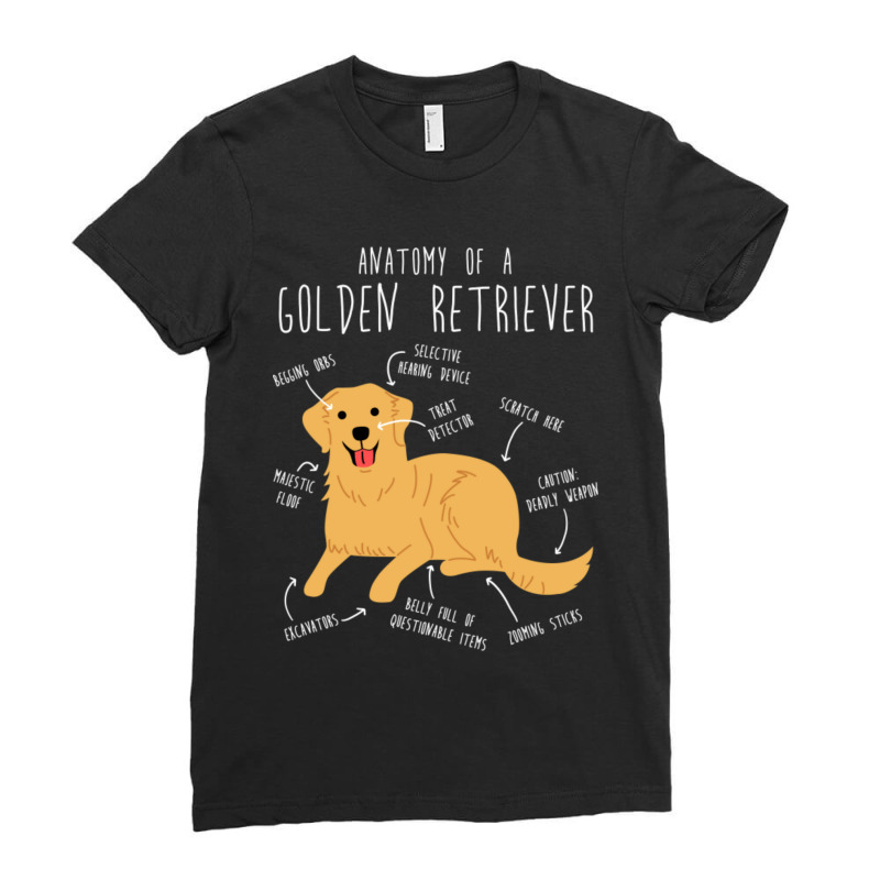 Golden Retriever Anatomy-5gjqg Ladies Fitted T-Shirt by Kalsurin563 | Artistshot