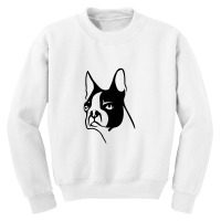 Boston Terrier Youth Sweatshirt | Artistshot