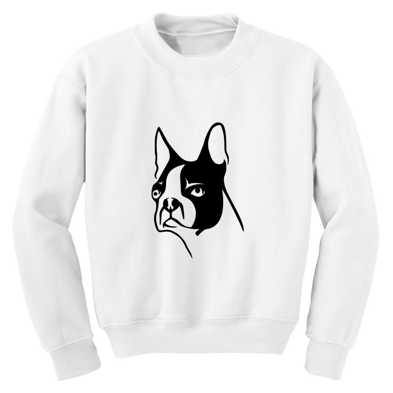 Boston Terrier Youth Sweatshirt | Artistshot