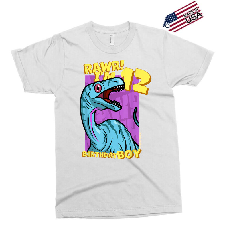 Rawr! I'm 12 Birthday Boys 12th Birthday Dino Noasaurus T Shirt Exclusive T-shirt | Artistshot