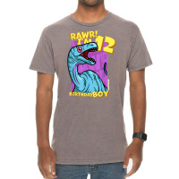 Rawr! I'm 12 Birthday Boys 12th Birthday Dino Noasaurus T Shirt Vintage T-shirt | Artistshot