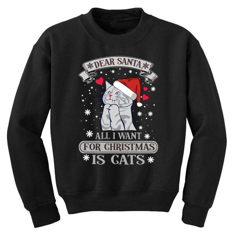 All I Want For Christmas Is Cats Youth Sweatshirt | Artistshot