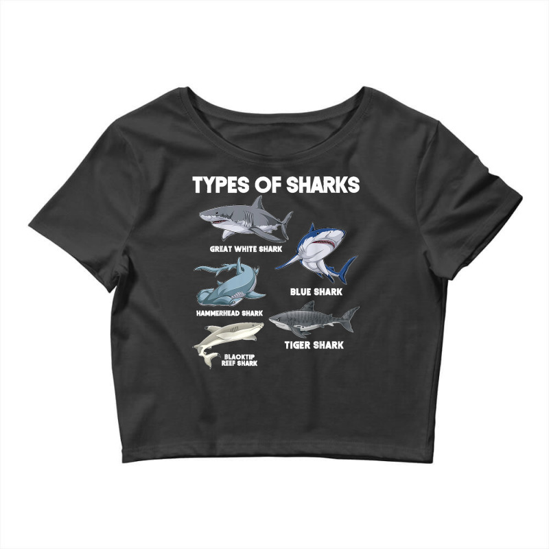 Types Of Sharks Crop Top by cm-arts | Artistshot