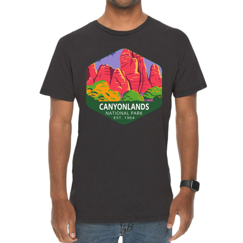 Canyonlands National Park-haanf Vintage T-Shirt by seifertmurryq3jmxs | Artistshot