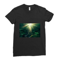 Divine Art Ladies Fitted T-shirt | Artistshot