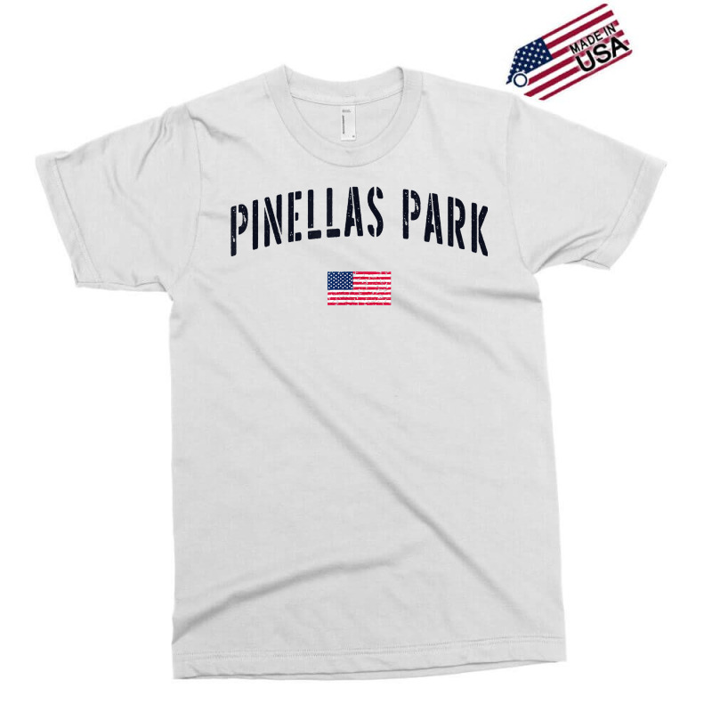 Patriotic Usa Flag Stencil Pinellas Park Fl T Shirt Exclusive T-shirt | Artistshot