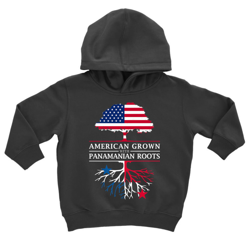 American Grown With Panamanian Roots   Panama Premium T Shirt Toddler Hoodie by cm-arts | Artistshot