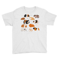 Guinea Pig Breeds   Costume Clothing Accessories Youth Tee | Artistshot