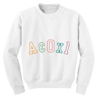 Alert And Oriented, A&ox1 Alert Oriented To Person, Nursing Sweatshirt Youth Sweatshirt | Artistshot