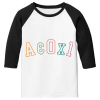 Alert And Oriented, A&ox1 Alert Oriented To Person, Nursing Sweatshirt Youth 3/4 Sleeve | Artistshot