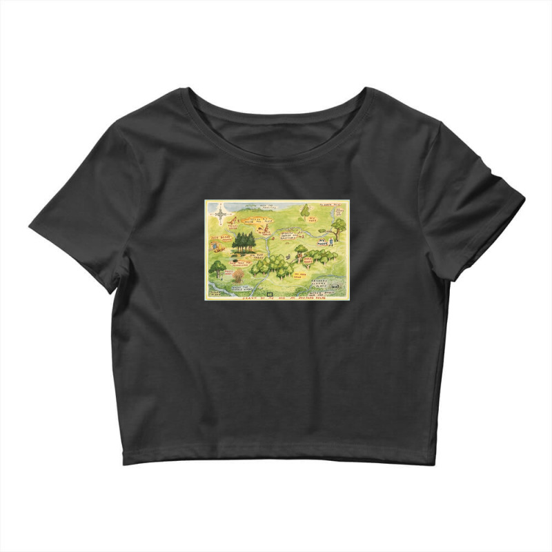 Hundred Acre Woods Map Gift Crop Top by LondynMarshall | Artistshot