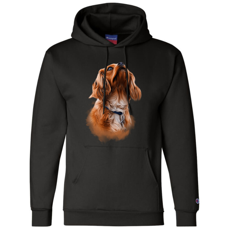 Cavalier King Charles Spaniel Ru A Gift Champion Hoodie | Artistshot