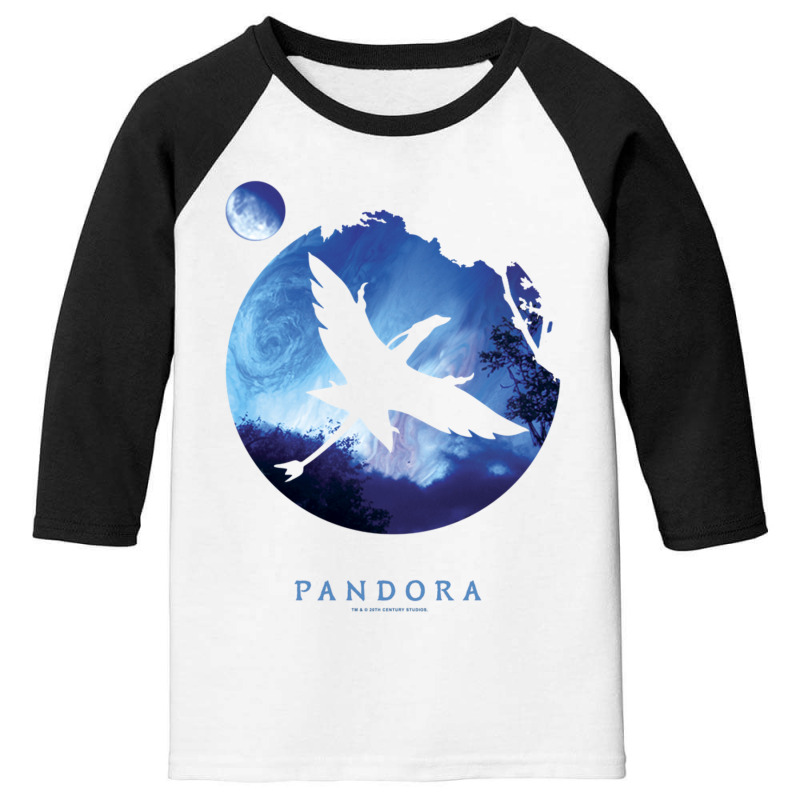 Avatar Pandora Planets Na'vi Flight Pullover Hoodie Youth 3/4 Sleeve | Artistshot