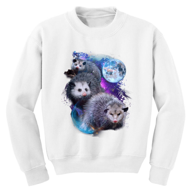 3 Moon Opossum Marsupial Rodent Opossum Art Youth Sweatshirt by cm-arts | Artistshot