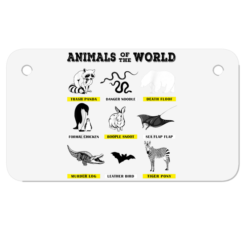 Motorcycles With Animal Names Motorcyclesjullla
