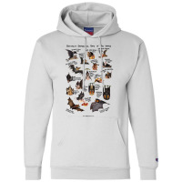 Critically Endangered Bats Of The World For Boyfriend Champion Hoodie | Artistshot