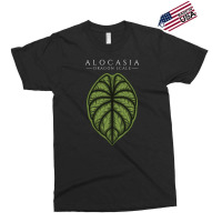 Alocasia Dragon Scale Aroid Plant Lover Anthurium Philodendron Exclusive T-shirt | Artistshot