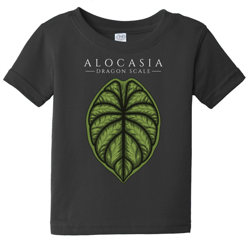 Alocasia Dragon Scale Aroid Plant Lover Anthurium Philodendron Baby Tee by dovieavila | Artistshot