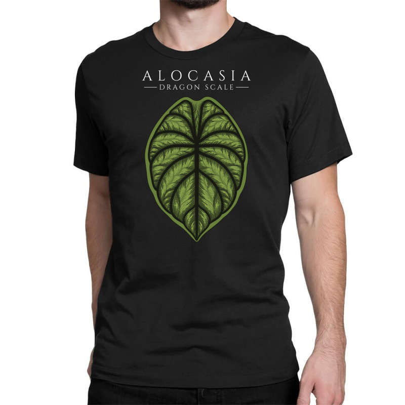 Alocasia Dragon Scale Aroid Plant Lover Anthurium Philodendron Classic T-shirt by dovieavila | Artistshot