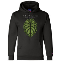 Alocasia Dragon Scale Aroid Plant Lover Anthurium Philodendron Champion Hoodie | Artistshot