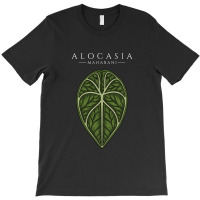 Alocasia Maharani Aroid Plant Lover Anthurium Philodendron Monstera T-shirt | Artistshot