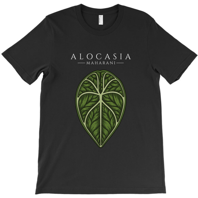 Alocasia Maharani Aroid Plant Lover Anthurium Philodendron Monstera T-Shirt by dovieavila | Artistshot