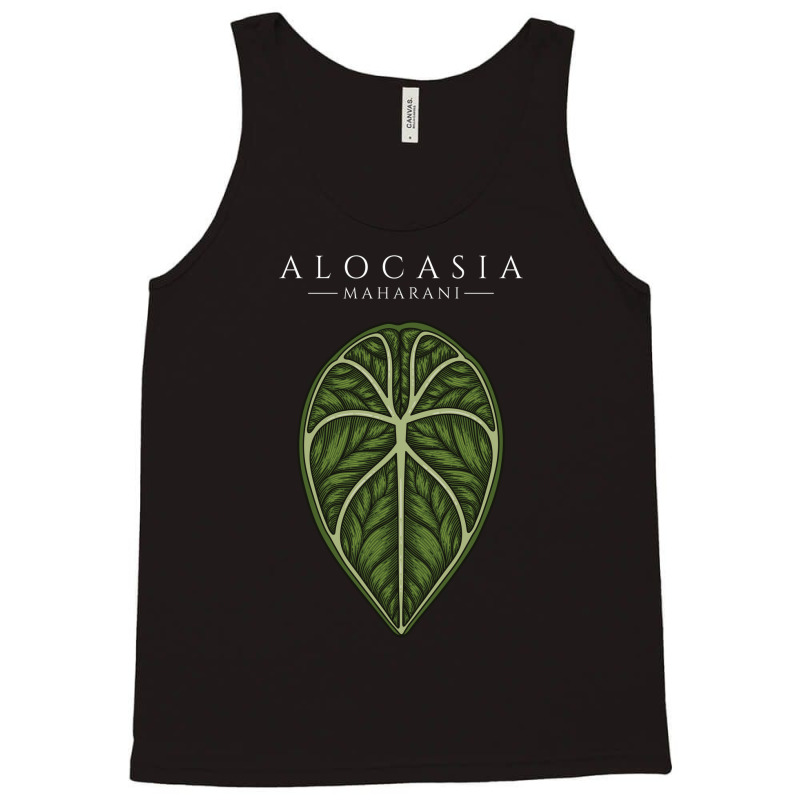 Alocasia Maharani Aroid Plant Lover Anthurium Philodendron Monstera Tank Top by dovieavila | Artistshot