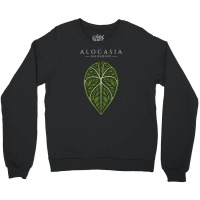 Alocasia Maharani Aroid Plant Lover Anthurium Philodendron Monstera Crewneck Sweatshirt | Artistshot