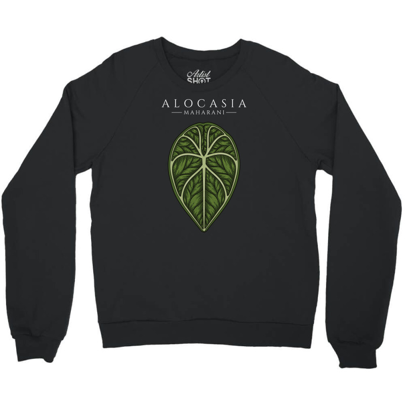 Alocasia Maharani Aroid Plant Lover Anthurium Philodendron Monstera Crewneck Sweatshirt by dovieavila | Artistshot