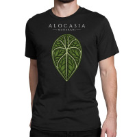 Alocasia Maharani Aroid Plant Lover Anthurium Philodendron Monstera Classic T-shirt | Artistshot