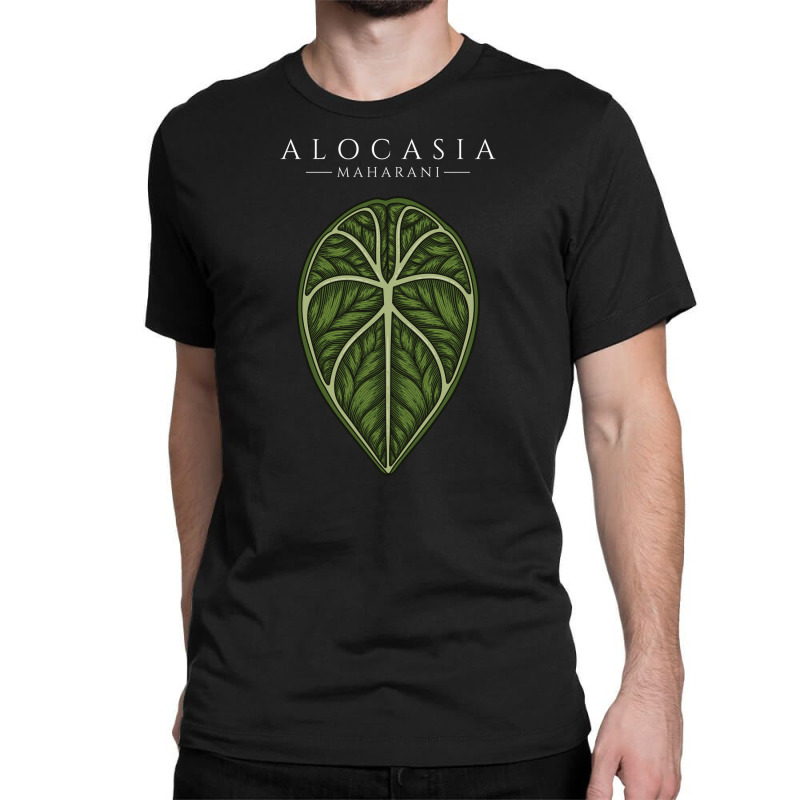 Alocasia Maharani Aroid Plant Lover Anthurium Philodendron Monstera Classic T-shirt by dovieavila | Artistshot