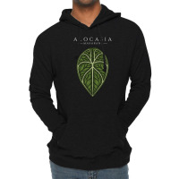 Alocasia Maharani Aroid Plant Lover Anthurium Philodendron Monstera Lightweight Hoodie | Artistshot