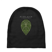 Alocasia Maharani Aroid Plant Lover Anthurium Philodendron Monstera Baby Beanies | Artistshot